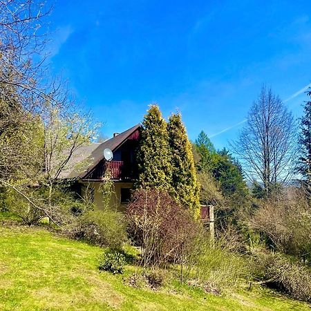 Dom Na Jezynowym Wzgorzu - Blackberry Hill Cottage Radziechowy Dış mekan fotoğraf
